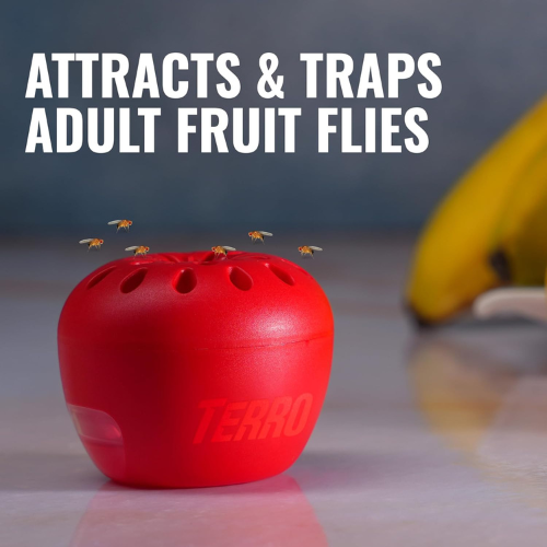 TERRO Fruit Fly Traps – 4 Pack + 180 Days of Lure | Indoor Use