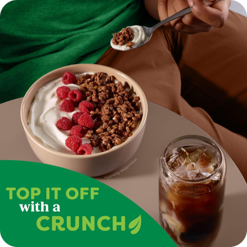 Kashi GO Protein Cereal Chocolate Crunch 16oz Box