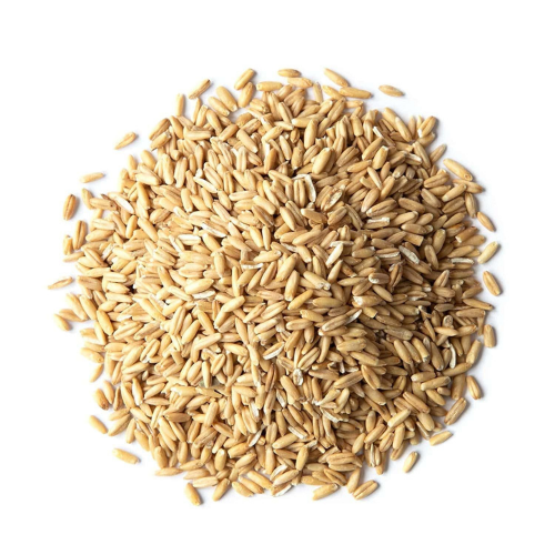 Food to Live Organic Oat Groats, 3 Pounds – 100% Whole Grain