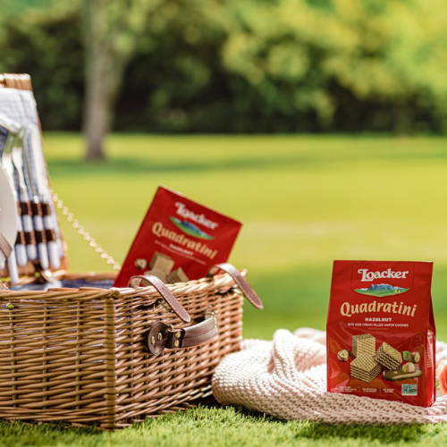 Loacker Quadratini Hazelnut Wafer Cookies  30% Less Sugar Bite, 250g/8.82oz