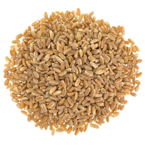Food to Live Organic Italian Pearled Farro, 3 Pounds