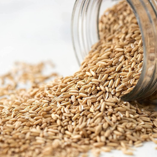 Food to Live Organic Oat Groats, 3 Pounds – 100% Whole Grain