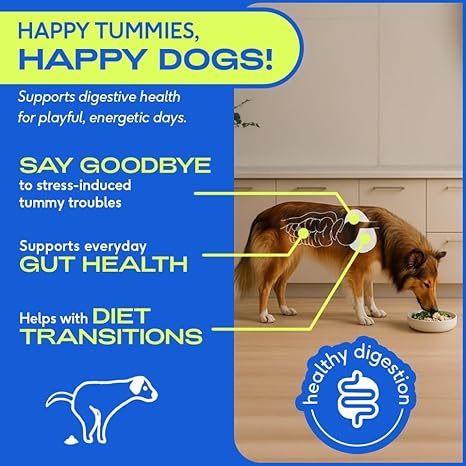 Native Pet Probiotics Powder – 120 Scoops, Digestive & Immune Support for Dogs