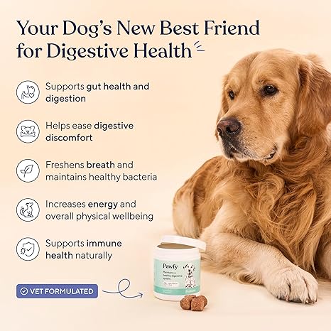 Pawfy Dog Probiotics – 30 Bacon Chews