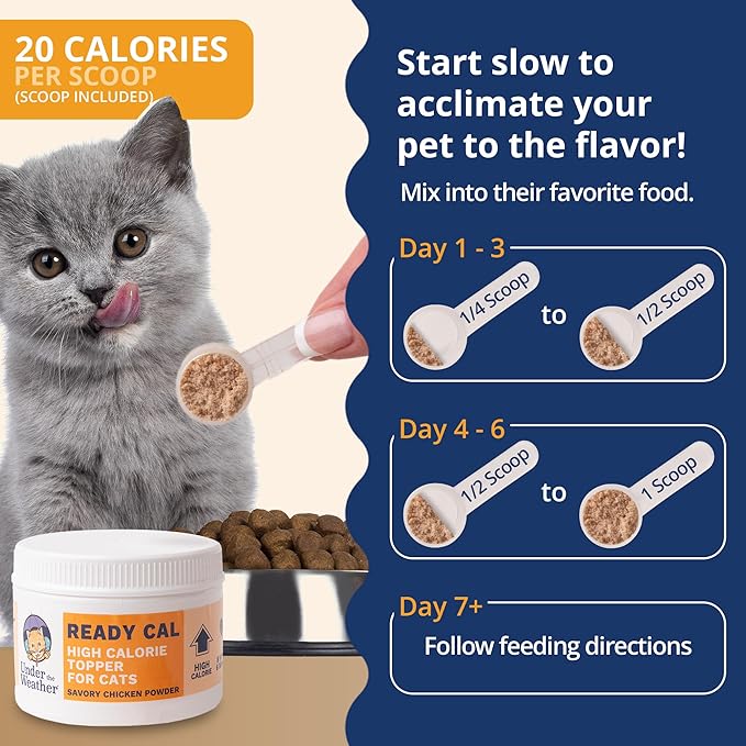 Ready Cal Powder for Cats – High-Calorie Appetite Booster, Chicken Flavor