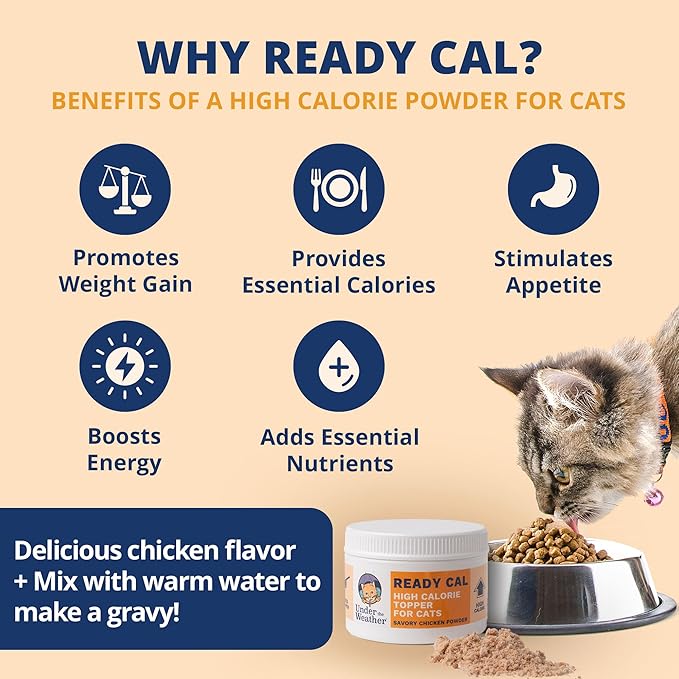 Ready Cal Powder for Cats – High-Calorie Appetite Booster, Chicken Flavor