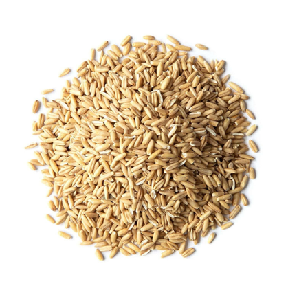 Food to Live Organic Oat Groats, 3 Pounds – 100% Whole Grain