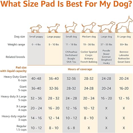 Dog Pee Pads – 100-Pack, 22×22", Leak-Proof & Quick-Dry