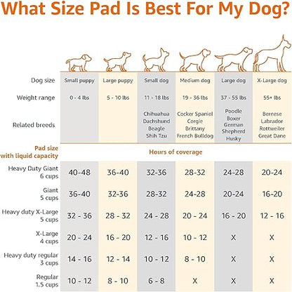 Dog Pee Pads – 100-Pack, 22×22", Leak-Proof & Quick-Dry