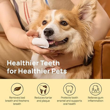 HICC Pet Teeth Wipes – Finger Toothbrush Wipes for Dogs & Cats, Plaque & Breath Care